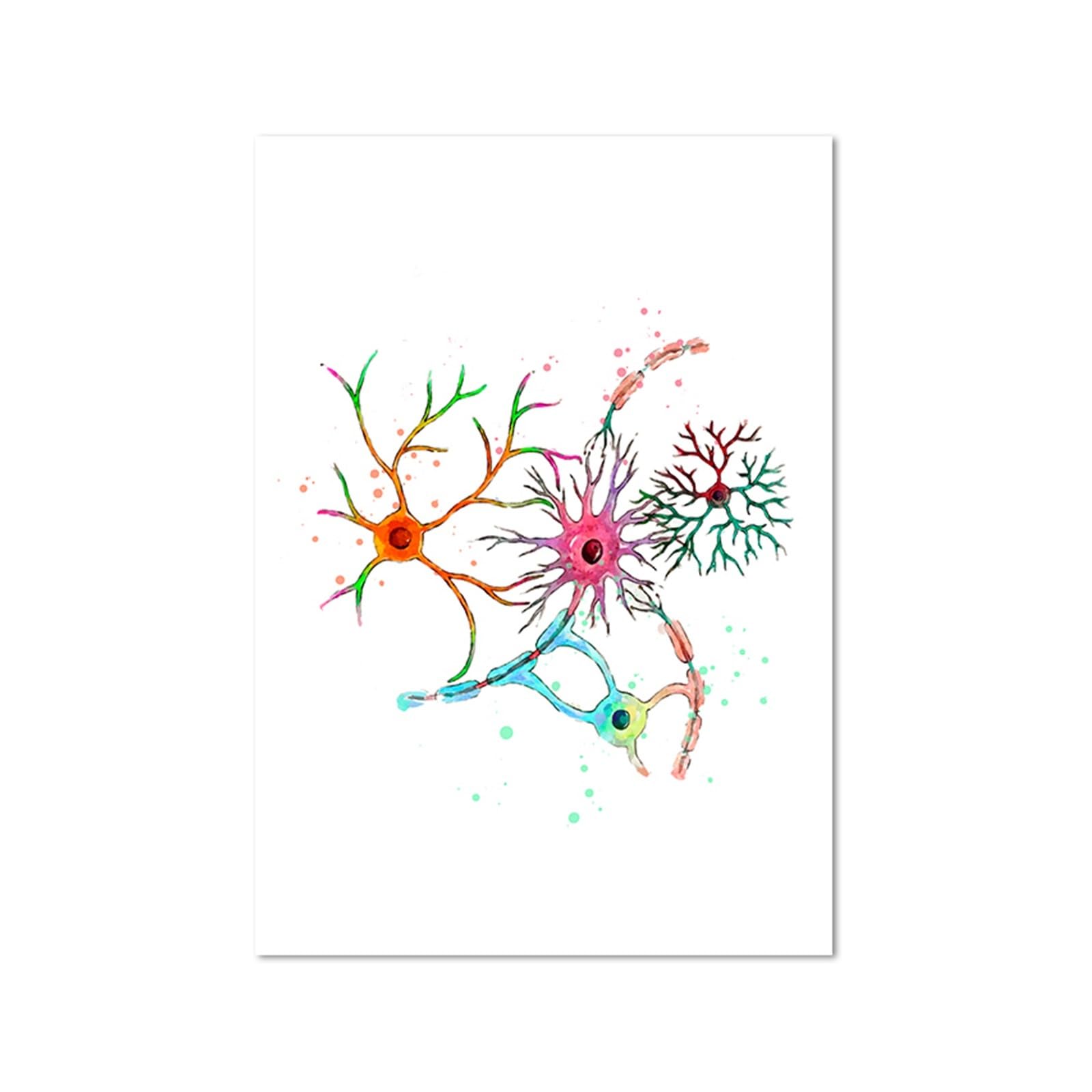 Anatomie du cerveau peinture sur toile aquarelle de neuroscience haut de gamme