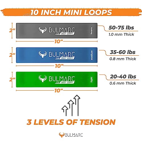 Image of Resistance Bands Mini Loop Exercise Bands Sliding Discs 70+ Exercises eBook Heavy Fitness Workout Men Women Toning Booty Hips Glutes Thighs