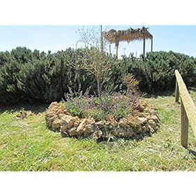 Purato Siccari Appassimento Organic, Terre Siciliane75 clPack 4 Purato Siccari Appassimento Organic, Terre Siciliane75 clPack 4 – Purato