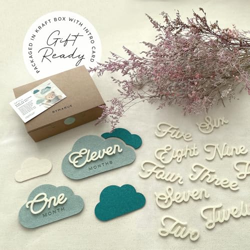 Image of Cloud Baby Monthly Milestone Signs, First Year Photo Prop Cards, Newborn Birth Announcement, Growth Tracking, Gender Neutral Baby Shower, Newborn Baby Gift, Pregnancy Journey and Baby Gift