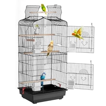 top rated bird cages for cockatiels that will surprise you 2 top rated bird cages for cockatiels