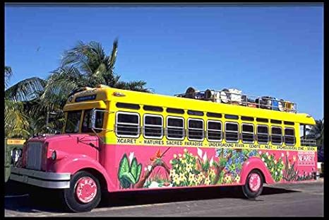 автобусы разных цветов. автобус и автомобиль. автобусы разных марок. автобусы разных цветов. радужные автобусы.