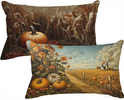 Funda Almohada 90x70 Cortijo Cojines Exterior Rural Patrón Diseño Juego de 2 Doble Cara Impresión Terciopelo Funda Cojin con Cremallera Invisible para Sofá Decoración Hogar Decor Regalo Mujer,Model222