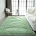 Pettop Fluffy Sage Green Area Rug for Bedroom Living Room, 3x5 Feet Soft Plush Fuzzy Rugs for Girls Kids Boys, Non-Slip and Washable Rug for Nursery Classroom, Carpet for Rooms Decor