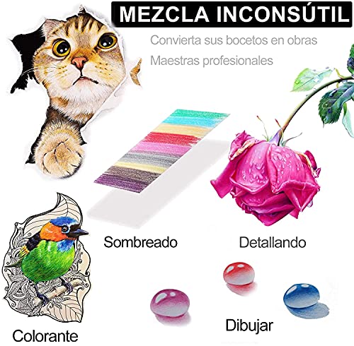 Opiniones de Juegos de dibujo más recomendados. 17 Juegos de dibujo marca AVEDISTANTE (2)