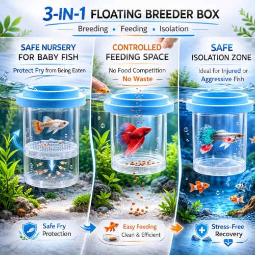 Image of Round Aquarium Fish Breeder & Isolation Box 11.5CM | Floating Acrylic Breeding Hatchery with Dual Chamber Fry Safety | Baby Fish Separator for Guppy, Betta, Molly Tanks