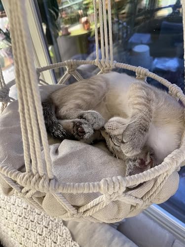 Image of Macrame Cat Hammock Bed,Handwoven Hanging Boho Cat Bed with Hanging Kit for Indoor Outdoor Home Decor Ceiling Catio Swing for Playing Sleeping Climbing and Lounging(15.74x15.74x47.24IN)(L)