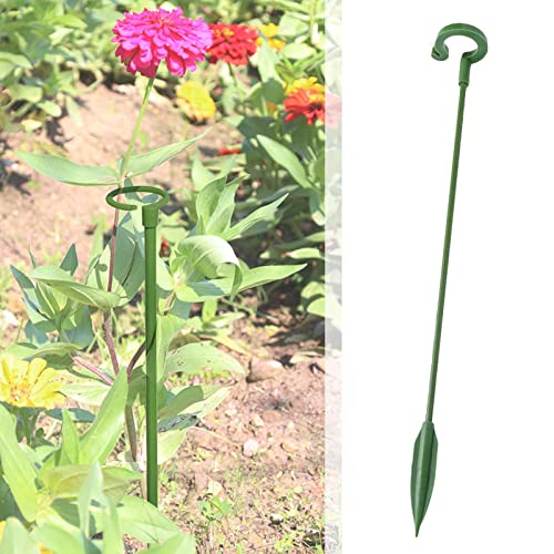 La Mejor review de Abono para orquídeas los mejores 10. 29 Imagen adicional
