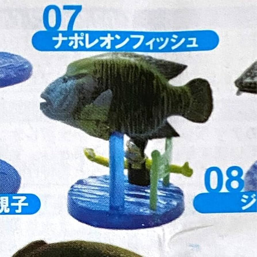 Amazon.co.jp: かごしま水族館 フィギュアコレクション