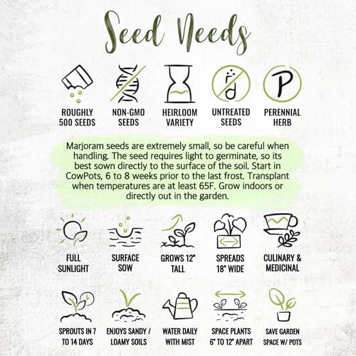Seed Needs Sweet Marjoram Seeds for Planting - Heirloom, Non-GMO & Untreated - Perennial Culinary & Medicinal Herbs for Indoor/Outdoor Growing (1 Pack)