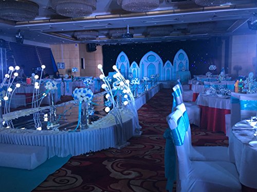 Ieventstar Satin Sash Chair Bow Cover Wedding Banquet Party Decoration (10, Pink) #TOP6