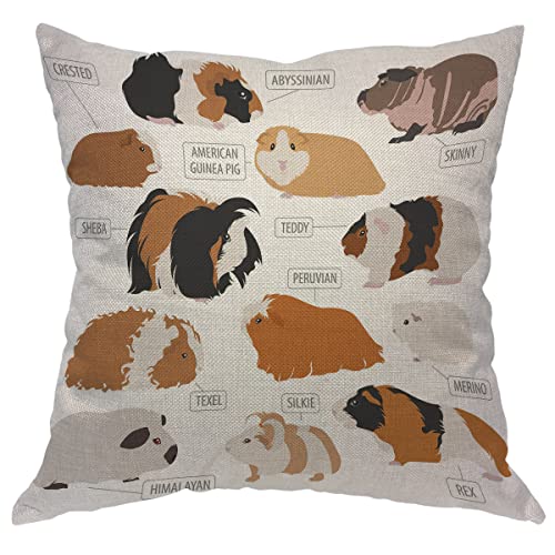 EKOBLA Meerschweinchen-Kissenbezüge, niedlich, dreifarbig, Hamster-Rassen, Wappen, Sheba, Silkie, Skinny, Telex, dekorativer Kissenbezug für Couch, Sofa, Zuhause, Auto, Wohnzimmer, 45,7 x 45,7 cm Cover