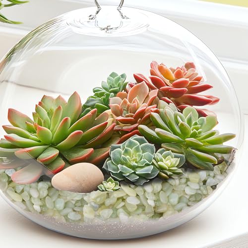 Image of 2.5 lbs Jade Pebbles for Indoor Plants, 1 /5 Inch Succulent and Cactus Pebbles, Decorative Gravel for Vases, Bamboo,Terrarium, Crafts, Cactus