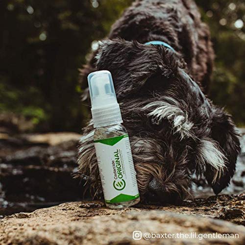 Cedarcide Original (Gallon) Cedar Oil Indoor Fogging Formula #TOP7