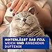 DOUXO Skin & Coat SPA – Ultra-Safe* Trockenshampoo Katze, 150 ml, säubert frischt das Fell auf, hinterlässt das Fell weich, glänzend und angenehm duftend, hautfreundliche Formel