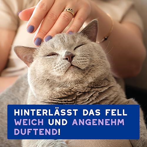 DOUXO Skin & Coat SPA – Ultra-Safe* Trockenshampoo Katze, 150 ml, säubert frischt das Fell auf, hinterlässt das Fell weich, glänzend und angenehm duftend, hautfreundliche Formel