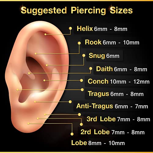Viujuh 2Pcs Surgical Steel Internally Threaded Horseshoe Earrings 16G 3/8 10Mm 3Mm Ball Lobe Earrings Tragus Piercing Jewelry 2266 (10Mm) #TOP4