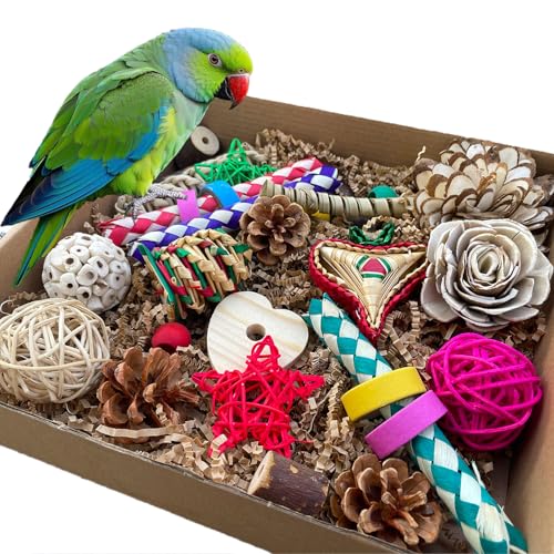 Bird Foraging & Bird Shredding Toys Box,Natural Chewing and Forag...
