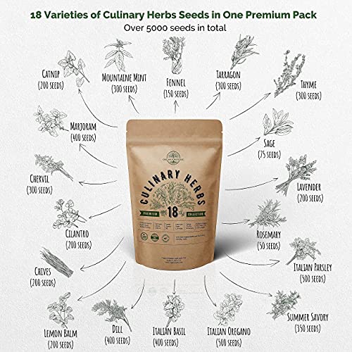 18 Culinary Herbs And 10 Carrot Seeds Variety Packs Bundle Non-Gmo Heirloom Seeds For Planting Indoor And Outdoor Over 7300 Herbs & Carrots Seeds In One Value Bundle #TOP1