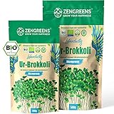 ZenGreens® - Bio Ur-Brokkoli Sprossen Samen (500g) in Premium Qualität - Brokkolisprossen mit hohem Sulforaphan-Gehalt - Brokkolisamen mit Keimrate von über 97% - Microgreens Samen