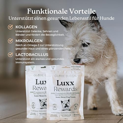 Globe Buddy Luxx Rewards 150g – Hypoallergene Getreidefreie Hundesnacks mit Insektenprotein, Unterstützt Mobilität & Immunsystem, Super Premium Trainingsleckerlis für Alle Hunde