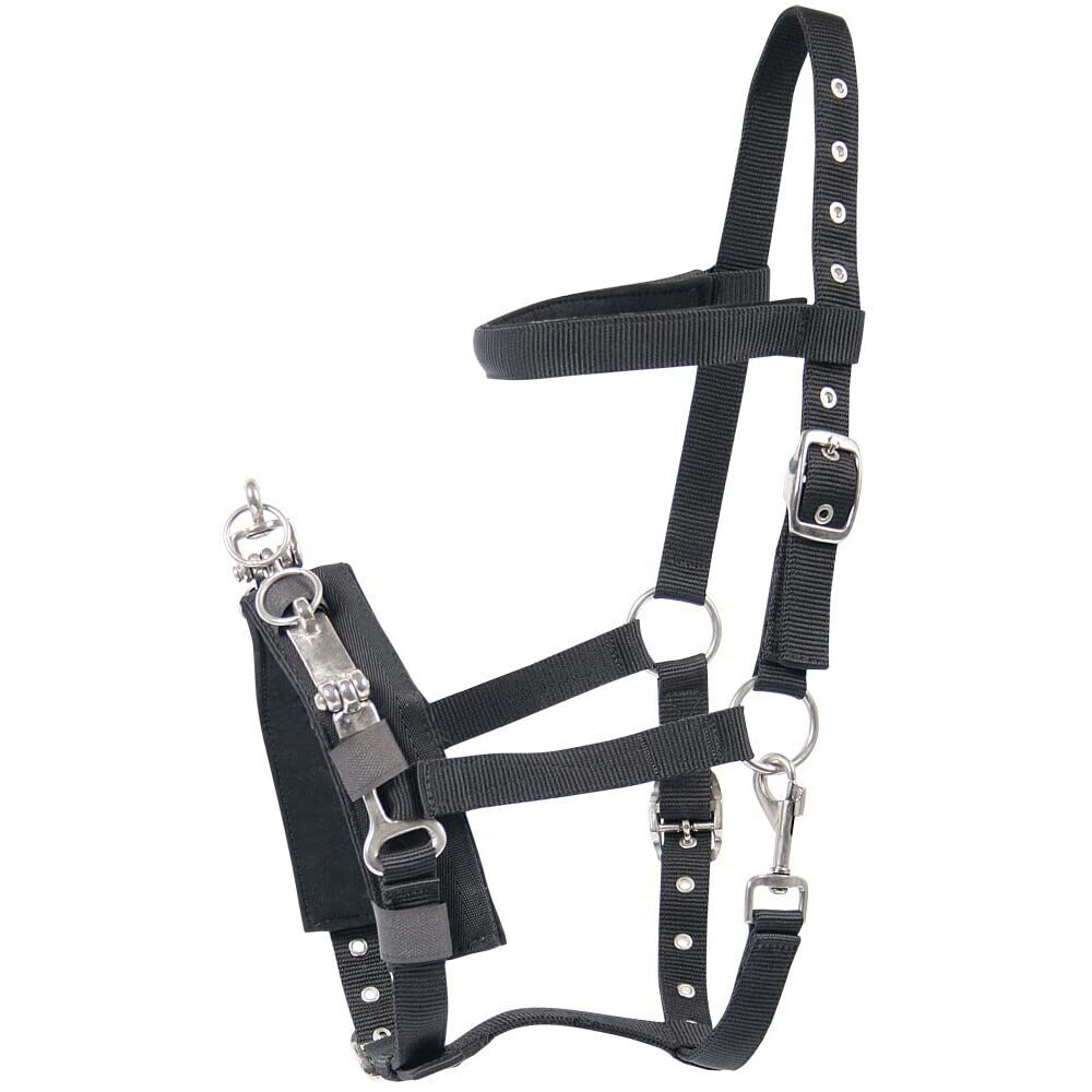 Harry' s Horse 31008125-Full Cavezza – Full, L