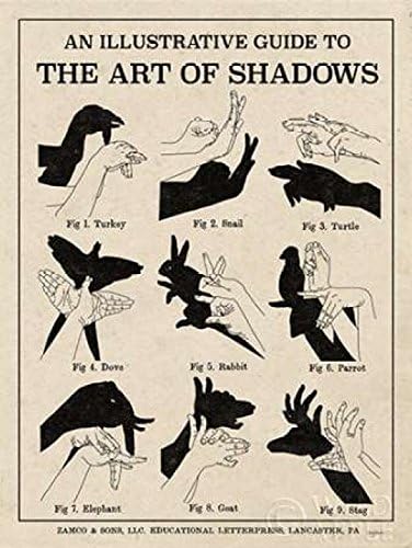El Arte de las Sombras X Poster Print de Mary Urban (18 x 24)
