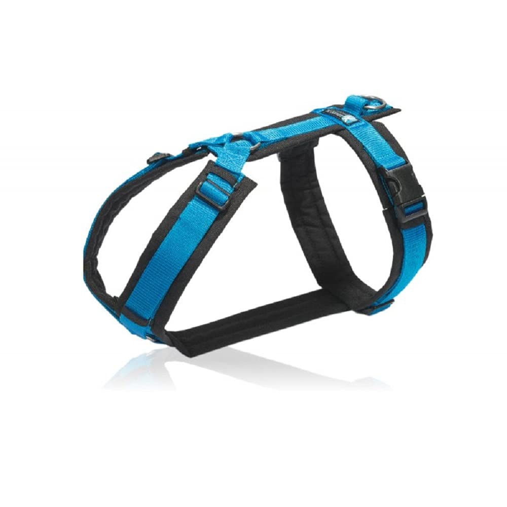 anny-x Brustgeschirr Fun schwarz blau - Gr. M
