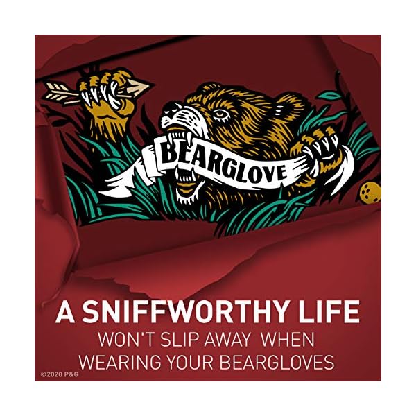 Old Spice Wild Bearglove Scent Body Wash for Men, 30 Fl Oz (Pack of 4)