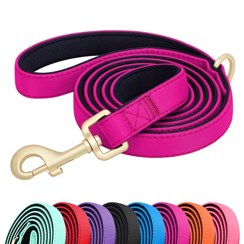Didog Colorful Dog Leash for Small Dogs, 5FT Soft Padded Nylon, Rose S