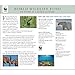 American Landscapes WWF 2022 Wall Calendar