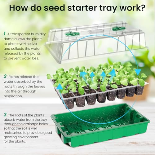Image of MIXC Seed Starter Tray with Lights, 2 Packs Mini Propagator Plant Grow Kit Greenhouse with Humidity Vented Domes and Base for Seeds Starting, Green