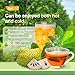 NalLife Soursop Tea Bags 30 Count Tea from 100% Soursop Leaves Caffeine Free No Sugar Added