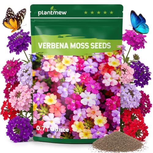 23 000+ Verbena Seeds for Planting Verbena Bonariensis Seeds Long Blooming Flowers for Ground Cover Pollinator Gardens Borders & Landscaping