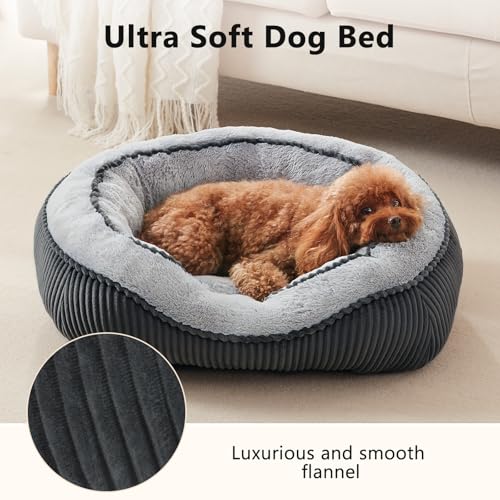 SIWA MARY Small Dog Beds for Small Dogs Cats, Washable Pet Bed, Cat Beds for Indoor Cats, Rectangle Soft Calming Sleeping Warming Puppy Bed with Anti-Slip Bottom(20"x19"x6") - Image 5