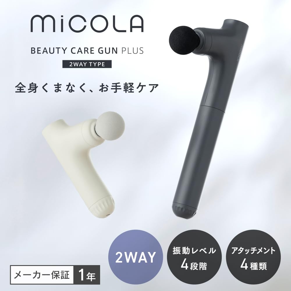 Amazon.co.jp: アイリスオーヤマ ビューティーケアガンプラス ハンディ 