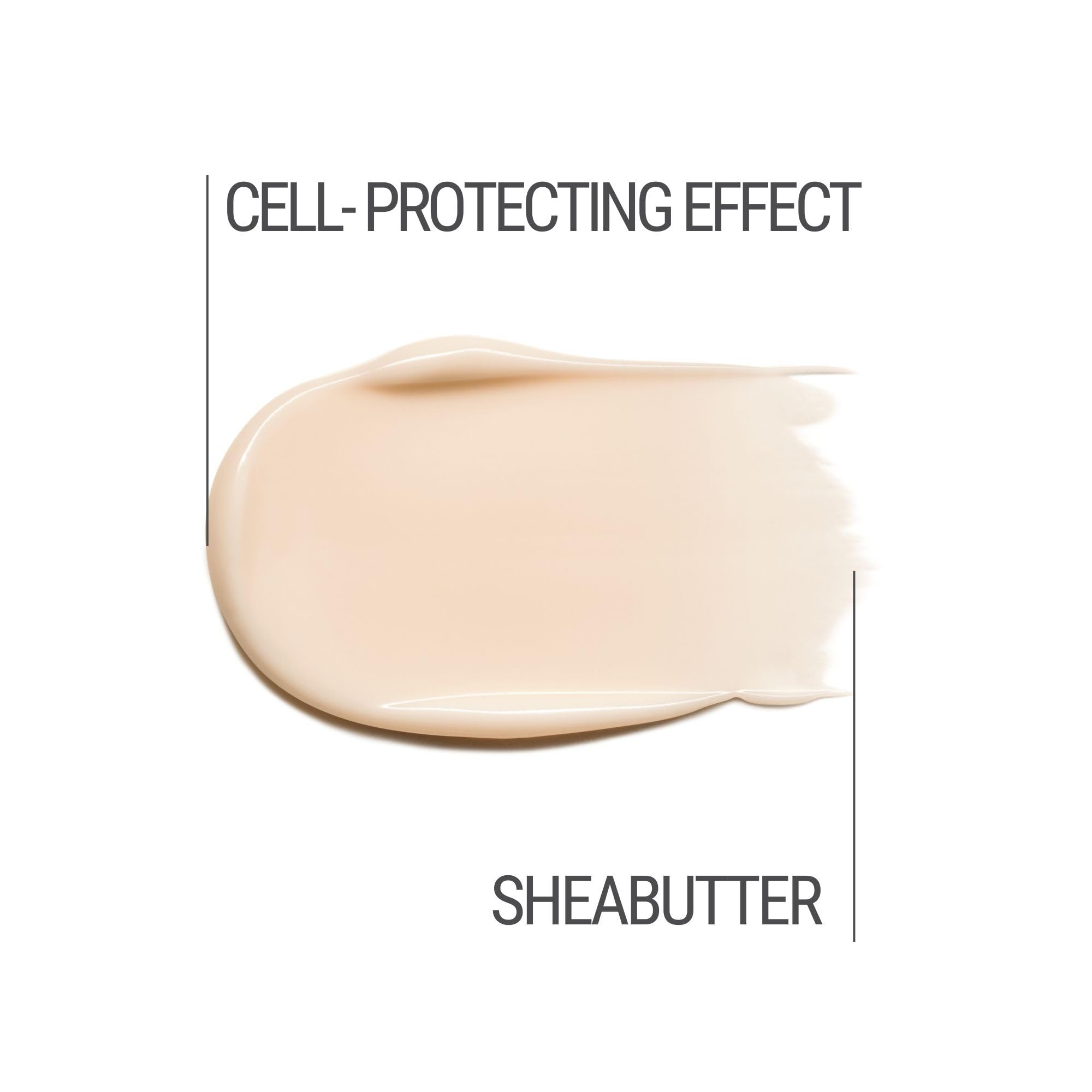 M. Asam Resveratrol Premium Lifting Cream (100 ml), Anti-Aging Face Moisturiser, Resveratrol Day and Night Cream - Image 3