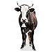 Cow - Life Size Cardboard Cutout Standup People with Support Standee | Animals -
