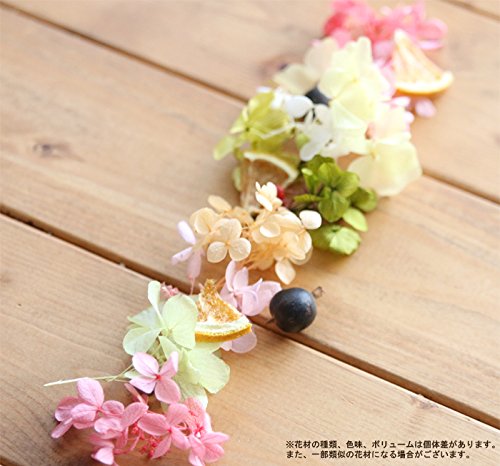 Amazon｜ハーバリウム花材セット1本分（フルーツミックス