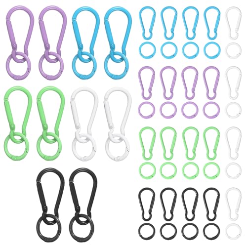 PATIKIL 30 Pcs Metal Keychain Clips Set, Small Keychain with O Ring Key Chain Hook for Rock Climbing Hiking Camping Travel Indoor Outdoor Activities, Black/White/Green/Blue/Purple