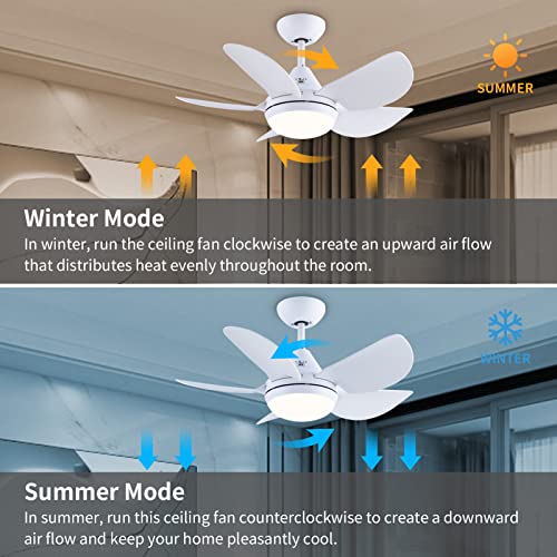 Cjoy Ceiling Fan With Lights, 30'' Small Modern Ceiling Fan With 5 Reversible Blades, Remote Controls, Adjustable Color Temperature, For Indoor, Matte White #TOP2