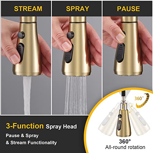 Flotech Commercial Faucets For Kitchen Sinks High Arc Single Handle Gold Pull Down Kitchen Sink Faucet With Pull Out Sprayer,Fit For 1 Or 3 Hole With Deck Plate, Rv Stainless Steel Sink Faucet #TOP1