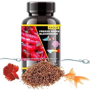 VAYINATO Eagle High Protein Freeze Dried Blood Worm Fish Food, 100Ml (Pack Of 1) By Petzlifeworld, All Life Stages