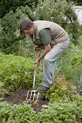 Spear & Jackson 4550DF Traditional Stainless Steel Digging Fork