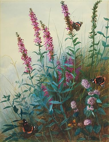 Tableau Toile Archibald Thorburn pour habiller un grand mur blanc vide de salon