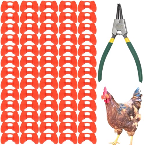 DoubleWood Pinless Peepers for Chickens 81 Pcs Anti-Pecking Goggles with Pliers Chicken Blinders and Plier Tool Chicken Glasses Pheasant Poultry Blinders Spectacles