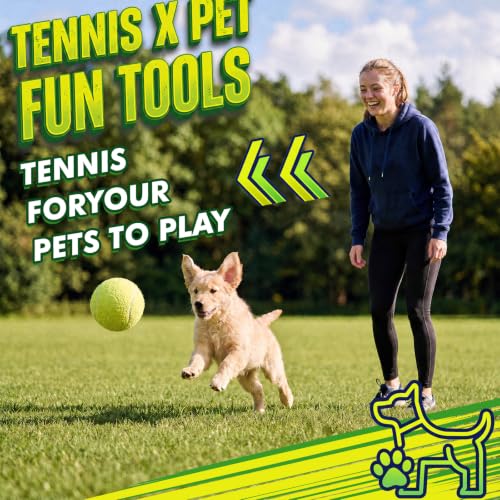 Image of Sratte 6 Pieces Giant Large Tennis Ball for Dogs 4'' Inflatable Large Dog Toy Balls for Indoor Outdoor Training Playing Sports (Fluorescent Yellow)