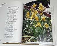 Sunshine on the Backroads B000FSPAAM Book Cover