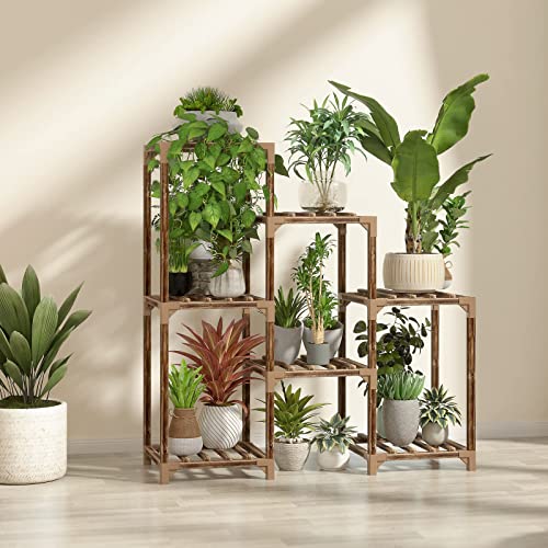 The Best Cfmour Plant Stand -New Releases