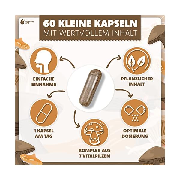 Vitalpilz Komplex - 60 Pilz Komplex Kapseln - 7 kraftvolle Pilze - Pilzkapseln aus Reishi, Cordyceps, Chaga, Maitake… – Bild 4